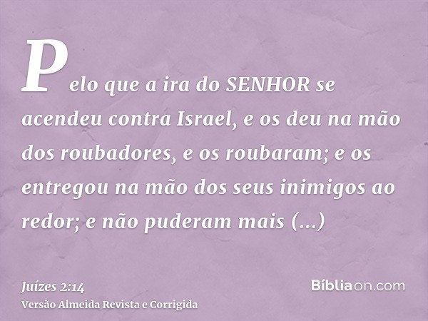 Pelo que a ira do SENHOR se acendeu contra Israel, e os deu na mão dos roubadores, e os roubaram; e os entregou na mão dos seus inimigos ao redor; e não puderam