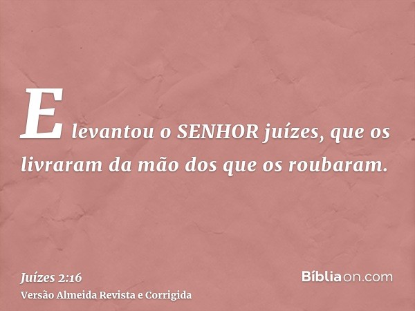 E levantou o SENHOR juízes, que os livraram da mão dos que os roubaram.