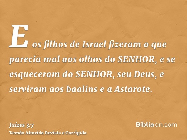 E os filhos de Israel fizeram o que parecia mal aos olhos do SENHOR, e se esqueceram do SENHOR, seu Deus, e serviram aos baalins e a Astarote.