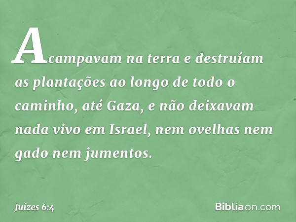 Acampavam na terra e destruíam as plantações ao longo de todo o caminho, até Gaza, e não deixavam nada vivo em Israel, nem ovelhas nem gado nem jumentos. -- Juí