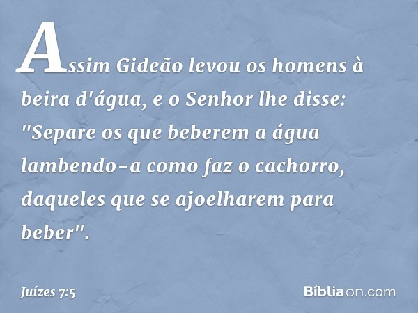 Assim Gideão levou os homens à beira d'água, e o Senhor lhe disse: "Separe os que beberem a água lambendo-a como faz o cachorro, daqueles que se ajoelharem para