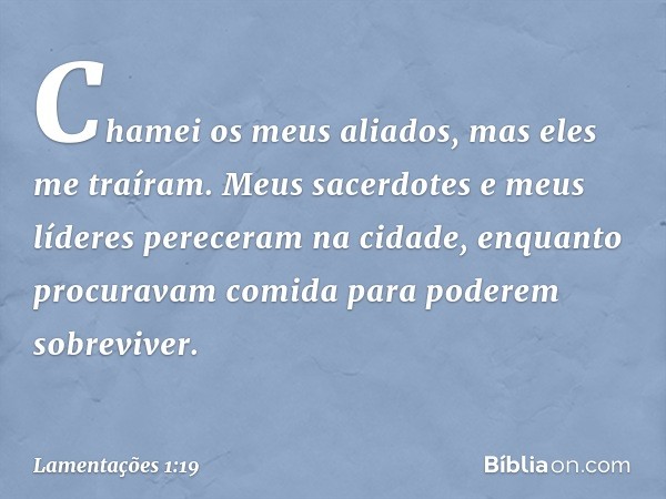 Chamei os meus aliados,
mas eles me traíram.
Meus sacerdotes e meus líderes
pereceram na cidade,
enquanto procuravam comida
para poderem sobreviver. -- Lamentaç