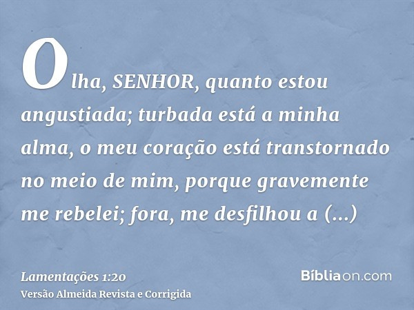 Olha, SENHOR, quanto estou angustiada; turbada está a minha alma, o meu coração está transtornado no meio de mim, porque gravemente me rebelei; fora, me desfilh