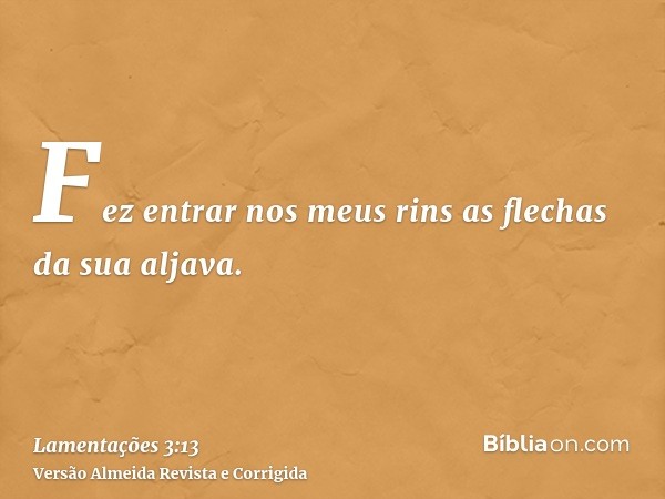 Fez entrar nos meus rins as flechas da sua aljava.