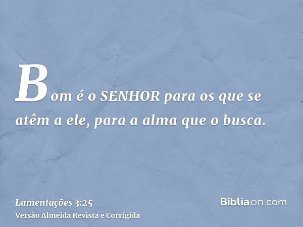 Bom é o SENHOR para os que se atêm a ele, para a alma que o busca.