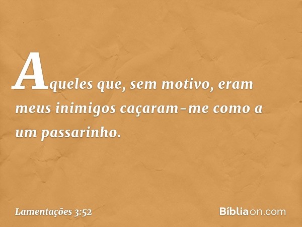 Aqueles que, sem motivo,
eram meus inimigos
caçaram-me como a um passarinho. -- Lamentações 3:52