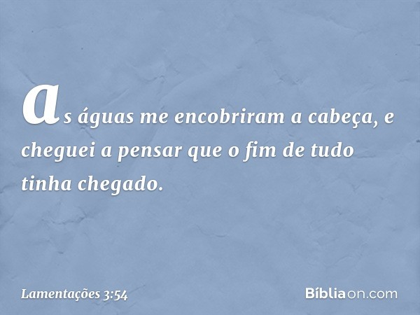 as águas me encobriram a cabeça,
e cheguei a pensar
que o fim de tudo tinha chegado. -- Lamentações 3:54