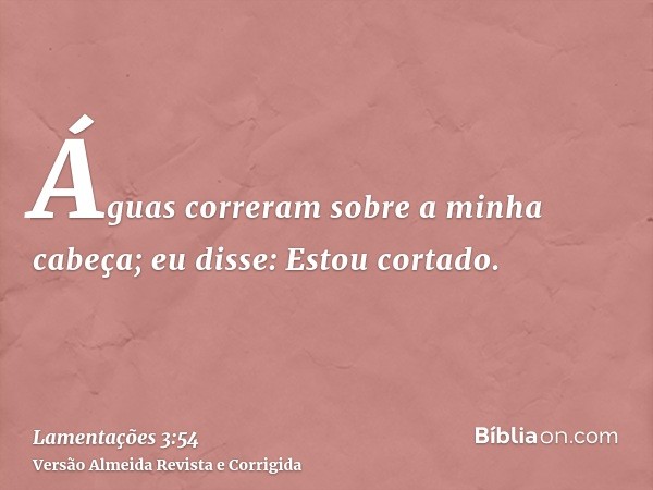 Águas correram sobre a minha cabeça; eu disse: Estou cortado.
