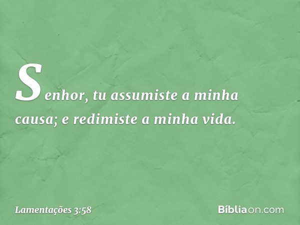 Senhor, tu assumiste a minha causa;
e redimiste a minha vida. -- Lamentações 3:58