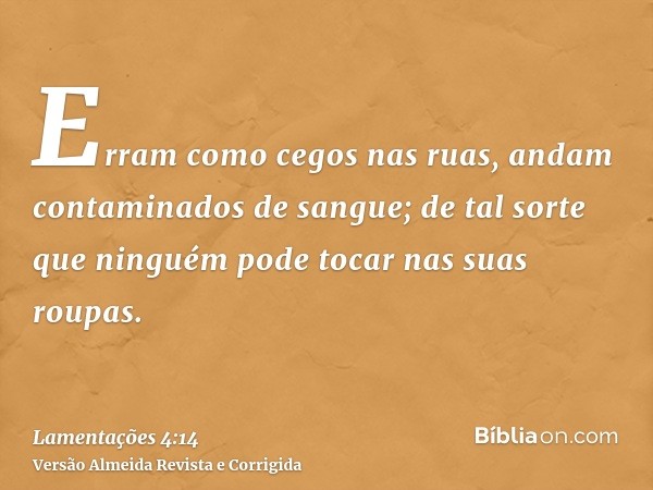Erram como cegos nas ruas, andam contaminados de sangue; de tal sorte que ninguém pode tocar nas suas roupas.