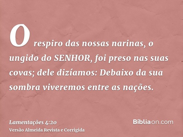 O respiro das nossas narinas, o ungido do SENHOR, foi preso nas suas covas; dele dizíamos: Debaixo da sua sombra viveremos entre as nações.