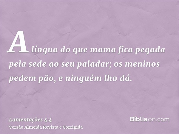 A língua do que mama fica pegada pela sede ao seu paladar; os meninos pedem pão, e ninguém lho dá.