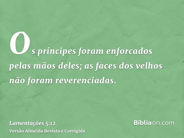 Os príncipes foram enforcados pelas mãos deles; as faces dos velhos não foram reverenciadas.