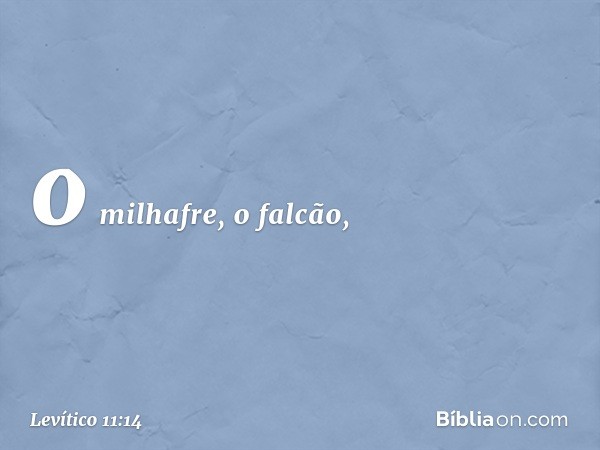 o milhafre, o falcão, -- Levítico 11:14