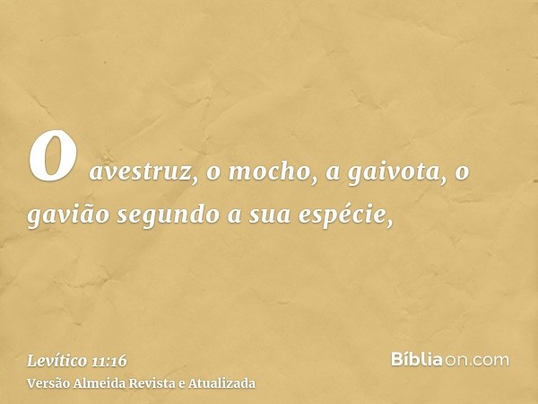 o avestruz, o mocho, a gaivota, o gavião segundo a sua espécie,