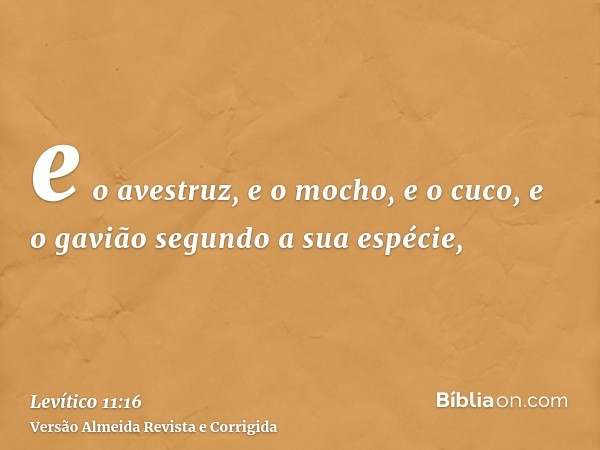 e o avestruz, e o mocho, e o cuco, e o gavião segundo a sua espécie,
