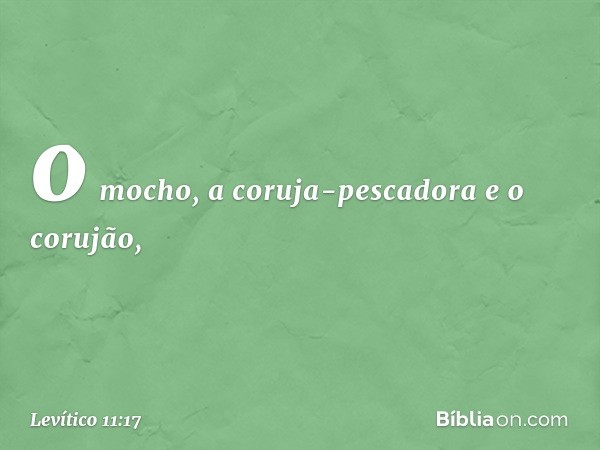 o mocho, a coruja-pescado­ra e o corujão, -- Levítico 11:17