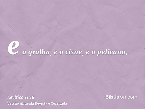 e a gralha, e o cisne, e o pelicano,