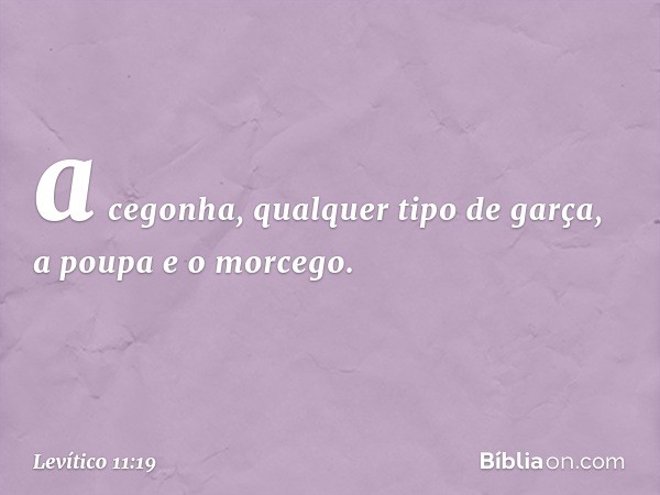 a cegonha, qualquer tipo de garça, a poupa e o morcego. -- Levítico 11:19