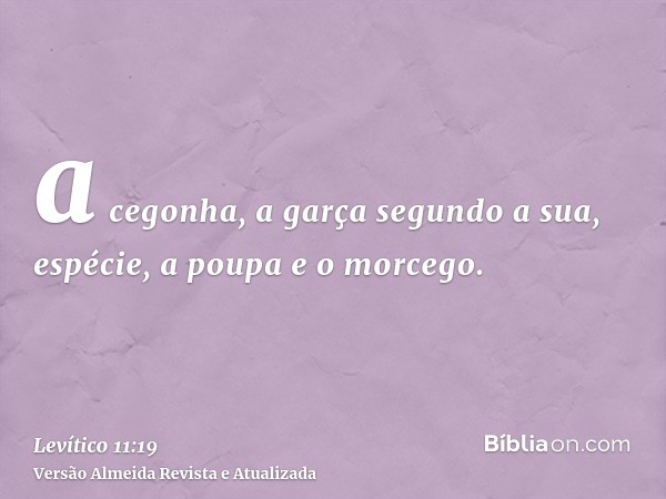 a cegonha, a garça segundo a sua, espécie, a poupa e o morcego.