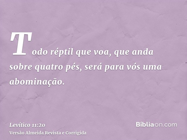 Todo réptil que voa, que anda sobre quatro pés, será para vós uma abominação.