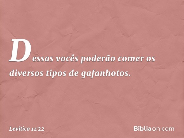 Dessas vocês poderão comer os diversos tipos de gafanhotos. -- Levítico 11:22