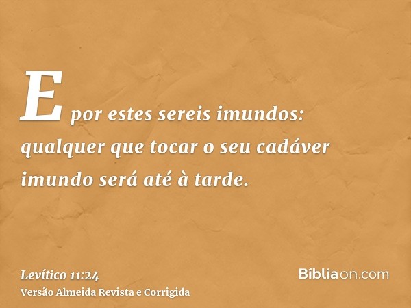 E por estes sereis imundos: qualquer que tocar o seu cadáver imundo será até à tarde.