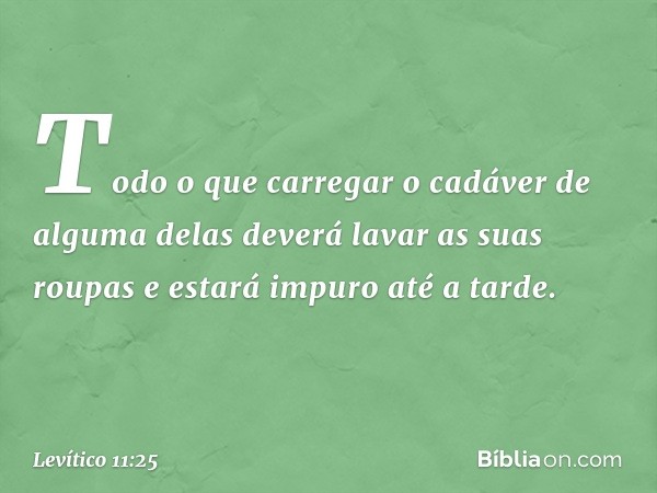 Todo o que carregar o cadáver de alguma delas deverá lavar as suas roupas e estará impuro até a tarde. -- Levítico 11:25