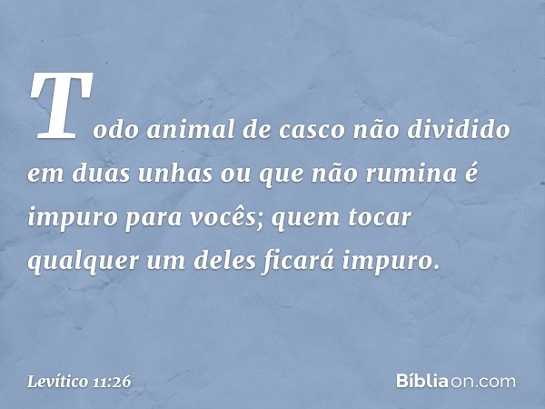 "Todo animal de casco não dividido em duas unhas ou que não rumina é impuro para vocês; quem tocar qualquer um deles fica­rá impuro. -- Levítico 11:26