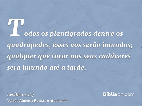 Todos os plantígrados dentre os quadrúpedes, esses vos serão imundos; qualquer que tocar nos seus cadáveres sera imundo até a tarde,