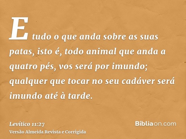 E tudo o que anda sobre as suas patas, isto é, todo animal que anda a quatro pés, vos será por imundo; qualquer que tocar no seu cadáver será imundo até à tarde