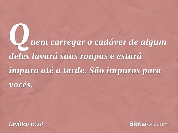 Quem carregar o cadáver de algum deles lavará suas roupas e estará impuro até a tarde. São impuros para vocês. -- Levítico 11:28