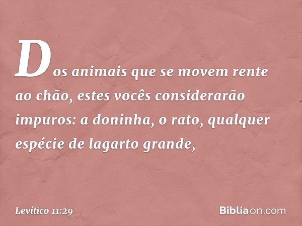 "Dos animais que se movem rente ao chão, estes vocês considerarão impuros: a doni­nha, o rato, qualquer espécie de lagarto grande, -- Levítico 11:29