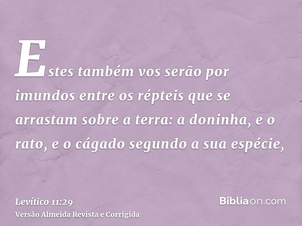 Estes também vos serão por imundos entre os répteis que se arrastam sobre a terra: a doninha, e o rato, e o cágado segundo a sua espécie,