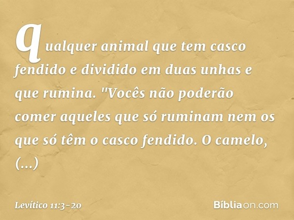 qualquer animal que tem casco fendido e dividido em duas unhas e que rumina. "Vocês não poderão comer aqueles que só ruminam nem os que só têm o casco fendido. 
