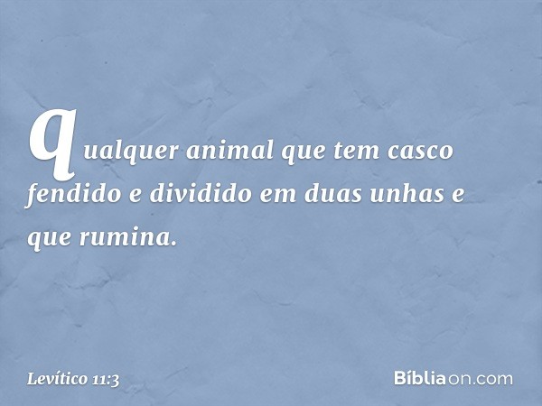 qualquer animal que tem casco fendido e dividido em duas unhas e que rumina. -- Levítico 11:3