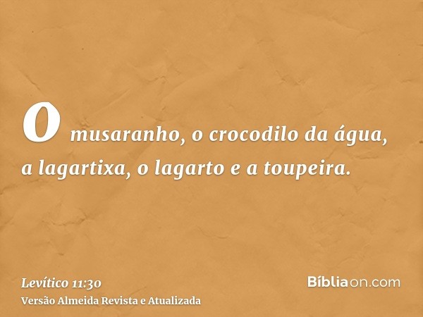 o musaranho, o crocodilo da água, a lagartixa, o lagarto e a toupeira.