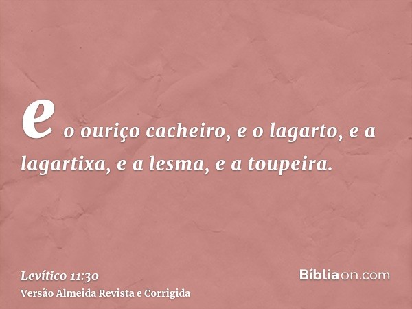 e o ouriço cacheiro, e o lagarto, e a lagartixa, e a lesma, e a toupeira.