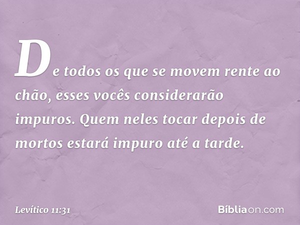 De todos os que se movem rente ao chão, esses vocês considera­rão impuros. Quem neles tocar depois de mor­tos estará impuro até a tarde. -- Levítico 11:31