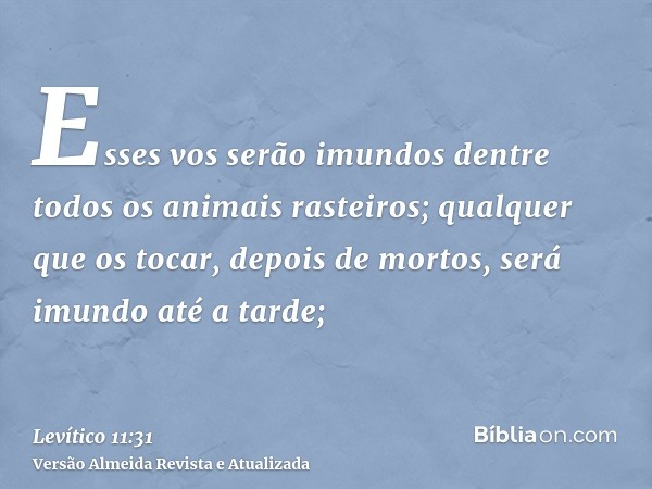 Esses vos serão imundos dentre todos os animais rasteiros; qualquer que os tocar, depois de mortos, será imundo até a tarde;