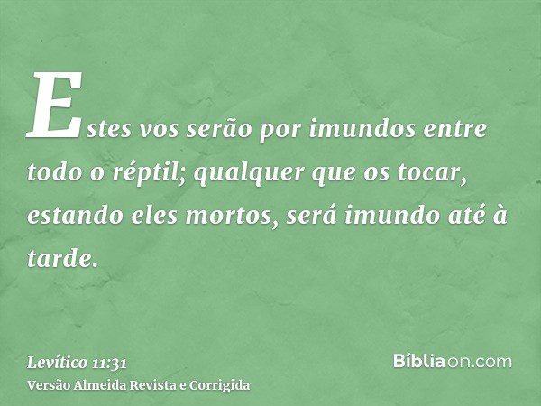 Estes vos serão por imundos entre todo o réptil; qualquer que os tocar, estando eles mortos, será imundo até à tarde.