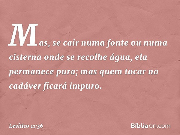 Mas, se cair numa fonte ou numa cisterna onde se recolhe água, ela permanece pura; mas quem tocar no cadáver ficará impuro. -- Levítico 11:36