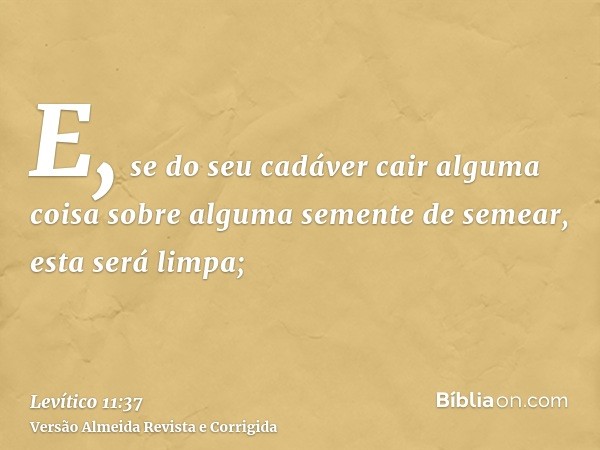 E, se do seu cadáver cair alguma coisa sobre alguma semente de semear, esta será limpa;