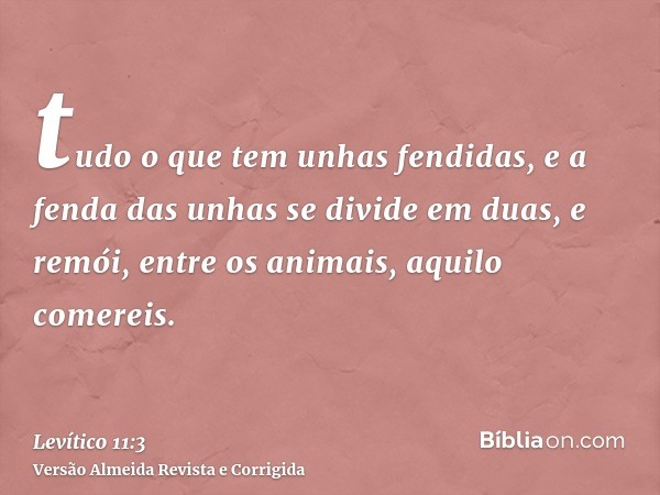 tudo o que tem unhas fendidas, e a fenda das unhas se divide em duas, e remói, entre os animais, aquilo comereis.