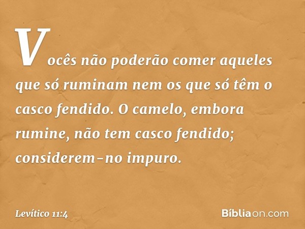 "Vocês não poderão comer aqueles que só ruminam nem os que só têm o casco fendido. O camelo, embora rumine, não tem casco fendi­do; considerem-no impuro. -- Lev