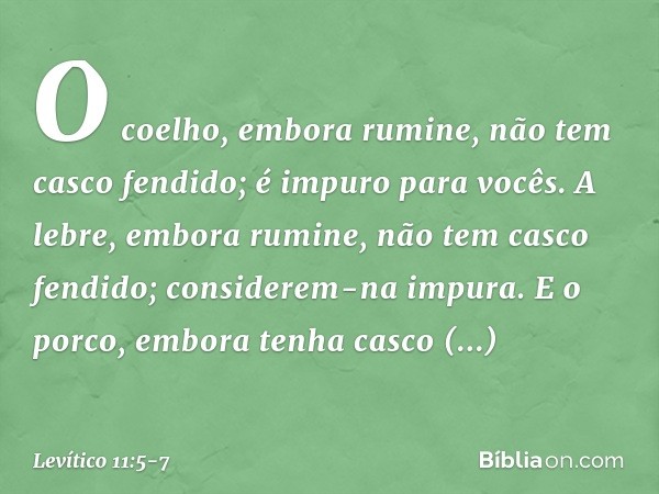 O coelho, embora rumine, não tem casco fendido; é impuro para vocês. A lebre, embora rumine, não tem casco fendido; considerem-na impura. E o porco, embora tenh