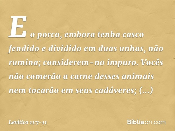 E o porco, embora tenha casco fendido e dividido em duas unhas, não rumina; considerem-no impuro. Vo­cês não comerão a carne desses animais nem tocarão em seus 