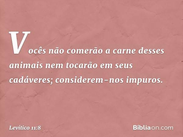 Vo­cês não comerão a carne desses animais nem tocarão em seus cadáveres; considerem-nos impuros. -- Levítico 11:8