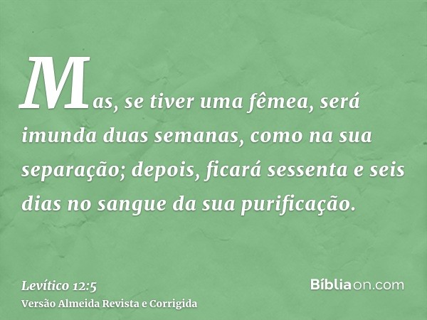 Mas, se tiver uma fêmea, será imunda duas semanas, como na sua separação; depois, ficará sessenta e seis dias no sangue da sua purificação.