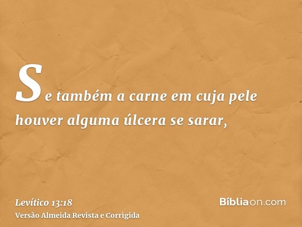 Se também a carne em cuja pele houver alguma úlcera se sarar,